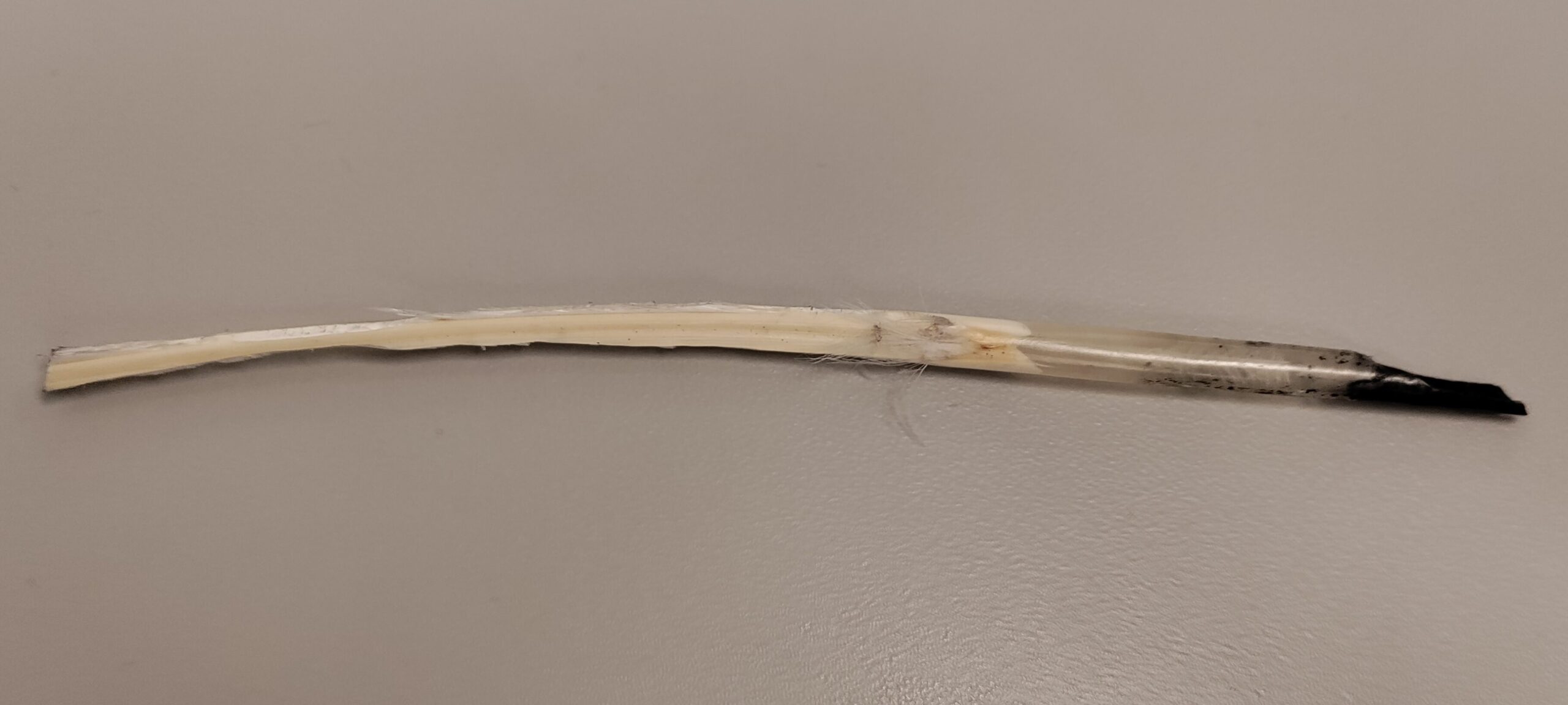 Making a Quill